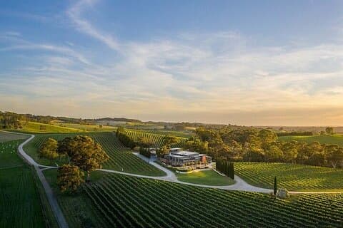 Phoenix Vortex to Vineyard Tour condiviso