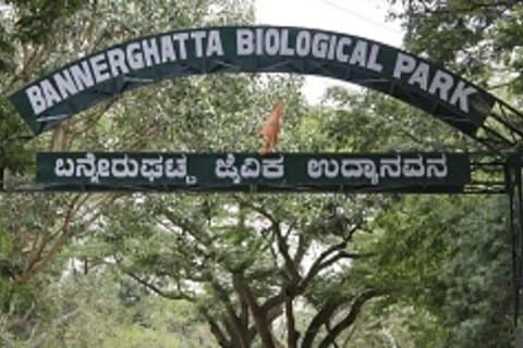 Desde Bangalore : Bannerghatta Park & City Sights Private Tour