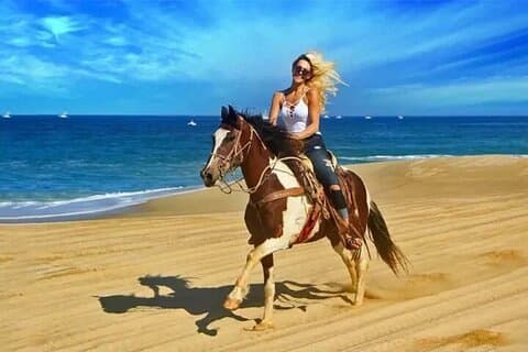 Discover the Thrill of Desert Horseback Riding from Doha
