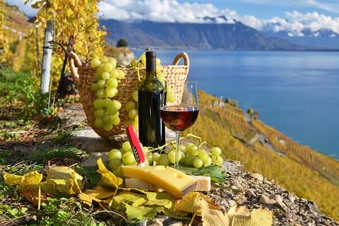 Queijo, chocolate e vinho (Tour Privado)
