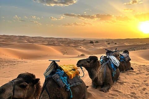 Private 3 Tage Marrakesch nach Fès Tour via Merzouga