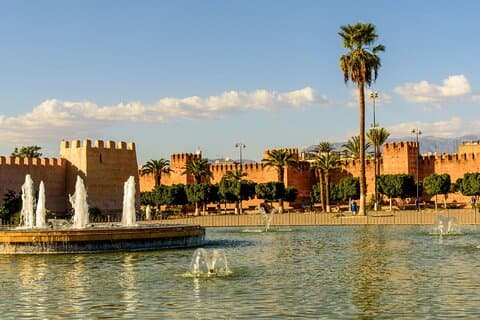 Excursion d'une demi-journée à Taroudant : Médina + Souk & Chèvres dans l'arganier