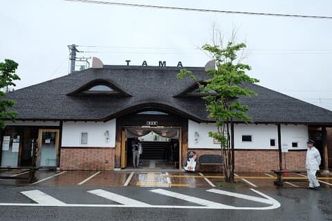 Wakayama Cute Cat and Outlet Shopping Day Tour