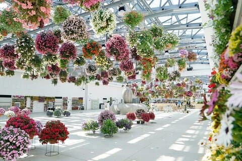 Hana Biyori Flower Park Admission Ticket in Tokyo