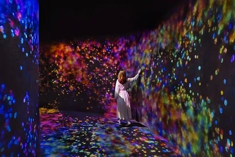 Tour privado por la ciudad de Abu Dabi con TeamLab Fenómenos Abu Dabi