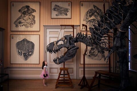 Billetter til Art Zoo Museum Amsterdam
