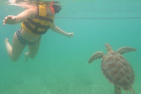 Turtle Snorkeling in Akumal