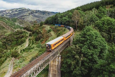 Dunedin Shore Excursion: Taieri Gorge Railway & City Sightseeing