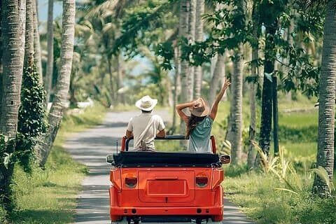 Clasi auto VW Ubud Tour