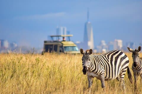 4WD Nairobi Sightseeing Partagé