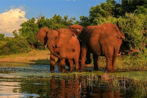 Hotell i nærheten av Durban Tala Game Reserve og Natal Park