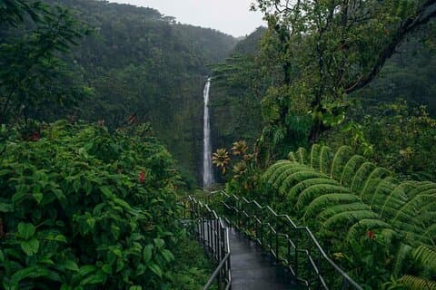 Akaka Falls Tour - Volcanoes National Park and Hilo Discovery