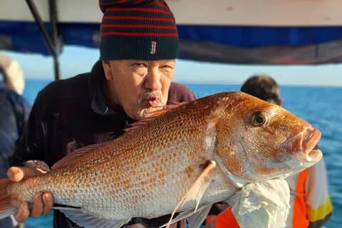 Full Day Fishing Trip on Auckland Waitemata Harbour