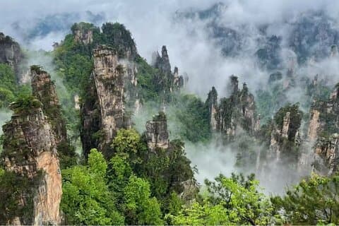 Tour de 11 días por la naturaleza de Jiuzhaigou, chongqing y Zhangjiajie