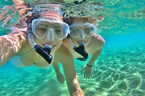Roatan avontuur : snorkelen, apen, luiaards en eiland tour