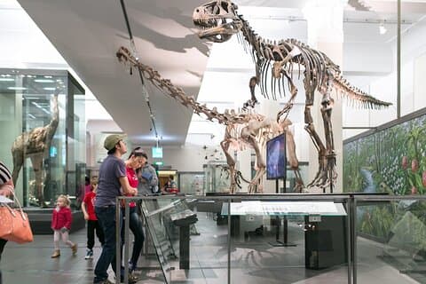 Skip the Line : オークランド博物館一般入場券