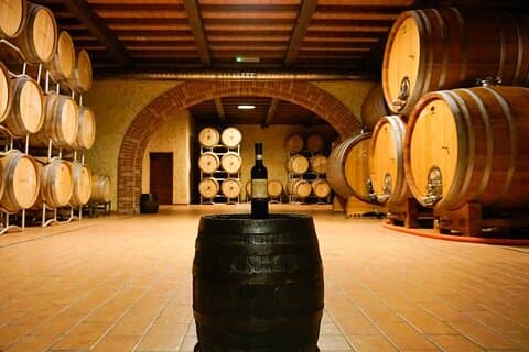 Del racimo a la copa: Viaje al corazón del vino en Bardolino