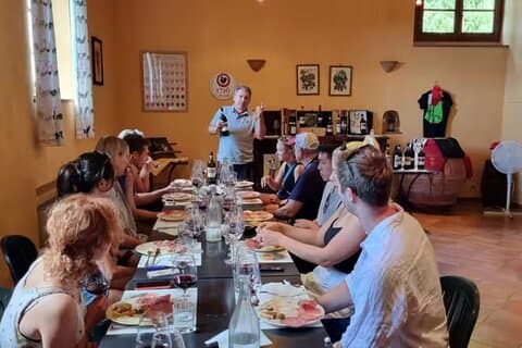 Chianti: Wine Tour & Degustazione in Toscana vicino San Gimignano