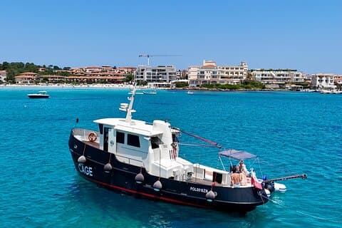 Private Tour with Historic Tugboat: Tavolara, Molara, Dolphins