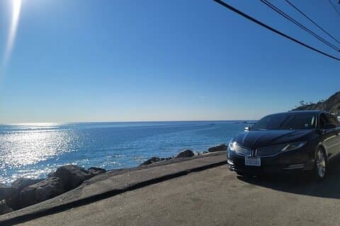Privé LAX Transfer van of naar Carnival Cruise Port - Long Beach