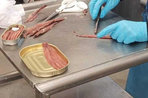 Tour a la Fábrica Anchoas y Marismas de Santoña con Degustación