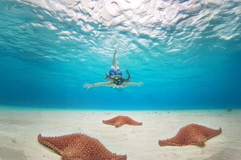 El Cielo snorkeltour & Kuza Beach, buffet & open bar inbegrepen
