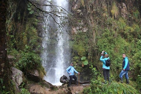 Cloud Forest & Waterfalls Passeio de meio dia