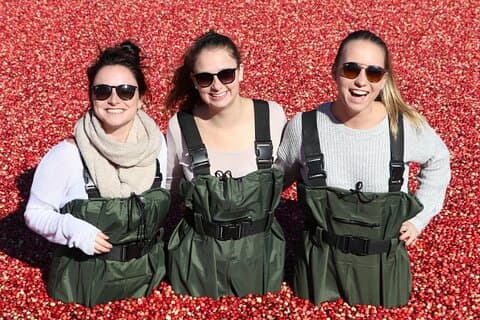 Fra Toronto: Cranberry Plunge og Hardy Lake Hike eventyr
