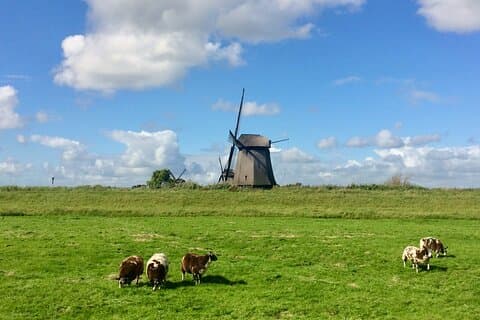 Amsterdam Private Tour Off the Beaten Path