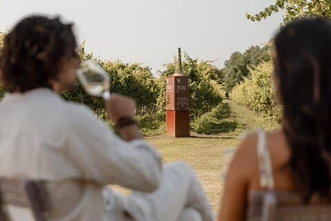 Wine and Breadstick Tasting