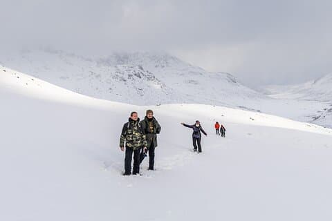 Tromsø: Arctic Landscapes Hiking / Snowshoeing Tour in the wild