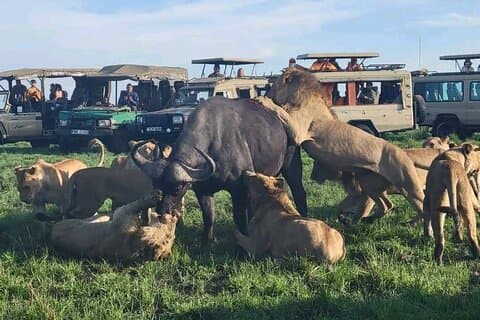 Excursión nocturna a Maasai Mara desde Nairobi