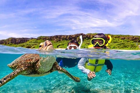 Miyakojima:Snorkeling|Pick-up OK|sea turtles & Fish and coral