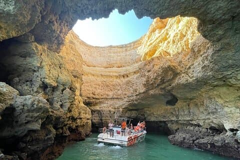 Delfinovervågning og Caves Cruise