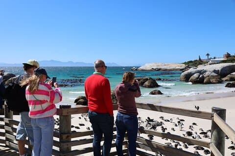Penguin Encounter Boulders Beach Half Tour Day vanuit Kaapstad