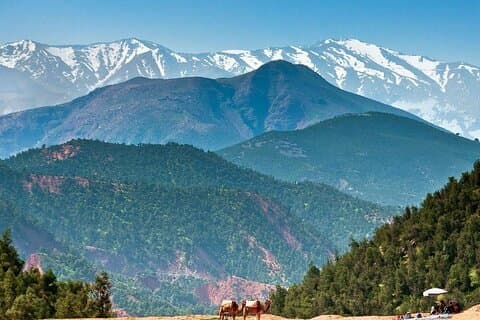 Day trip to the valley of ourika.