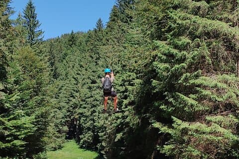 Brasov: Bear Sanctuary & 7 Leaders Canyon with Zip line included