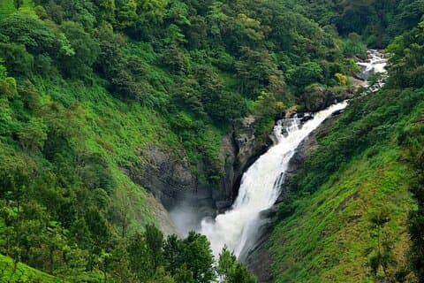 Explore Munnar in 2 Days from Madurai – Complete Tour Package