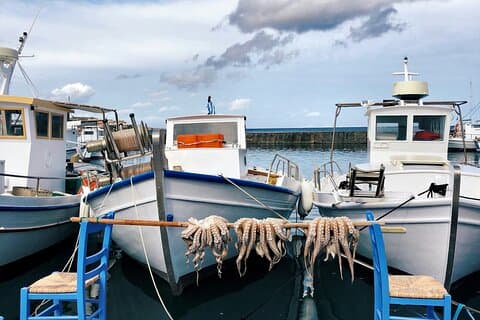 Visite de rêve Mykonos Paros 5 jours