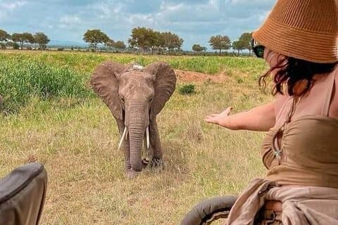 4 dages kort og sød safari til Tarangire og Ngorongoro Wonders