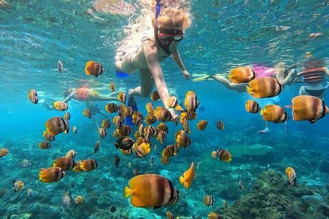 Dia inteiro Nusa Penida Island com snorkeling de Bali