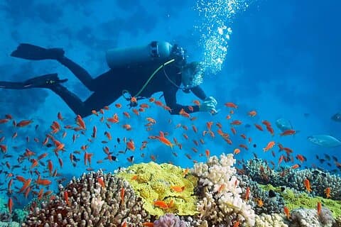 Aventura de mergulho em Angra dos Reis