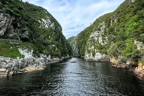 Dagstur till Tsitsikama nationalpark från Port Elizabeth
