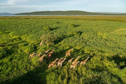 2 días de safari Big 5 al Parque Nacional Akagera Descubra el corazón salvaje de Ruanda