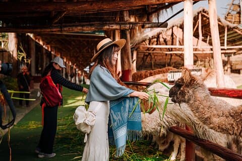 Complete Sacred Valley Tour Petit groupe Pisac, Maras, Moray et Ollantaytambo