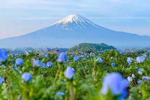 Excursion d'une journée complète du mont Fuji avec 7 sites touristiques incontournables