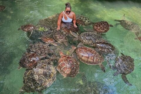 A viagem mágica Tanzânia e Zanzibar