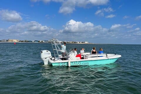 Dolphin and Nature Boat Excursion