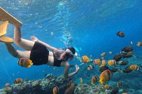 Bali : Tour de buceo con laguna azul y Tanjung Jepung