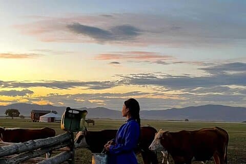 4 Day Nomadic Life Experience In Northern Mongolian